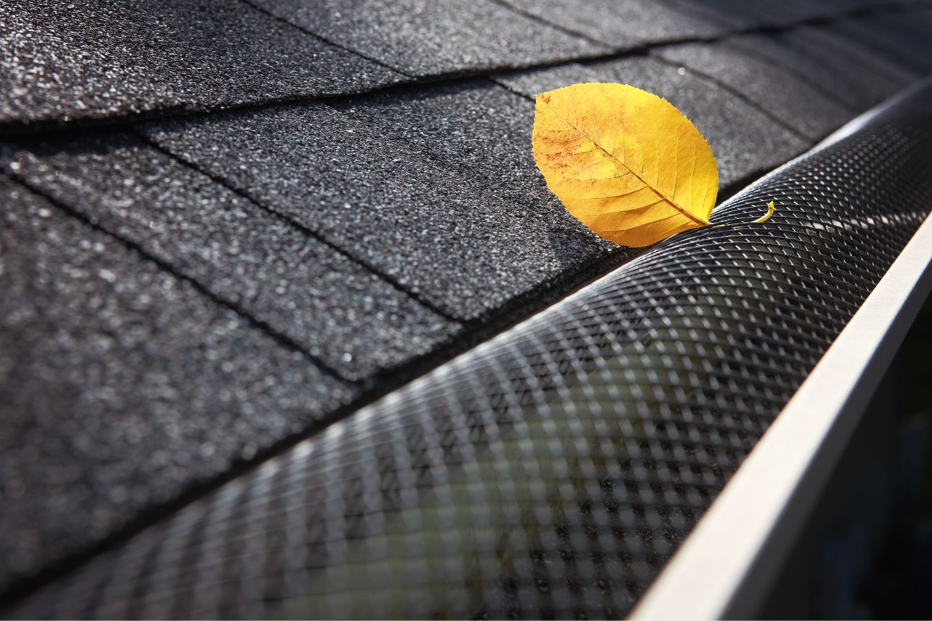 Signs you need leaf guard installation